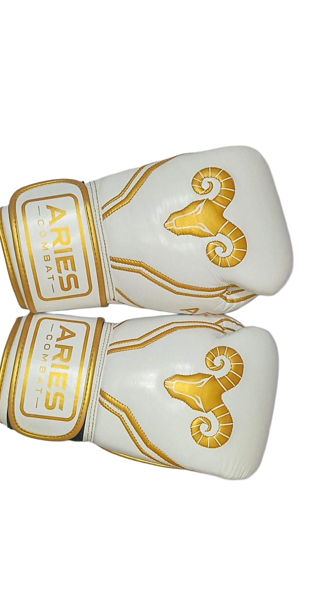 White and gold boxing gloves, ram logo and knuckle view